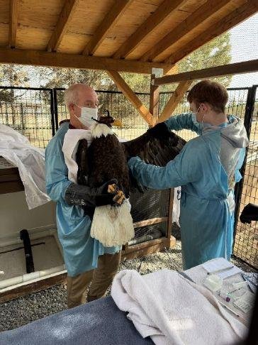 wp header logo 137.png