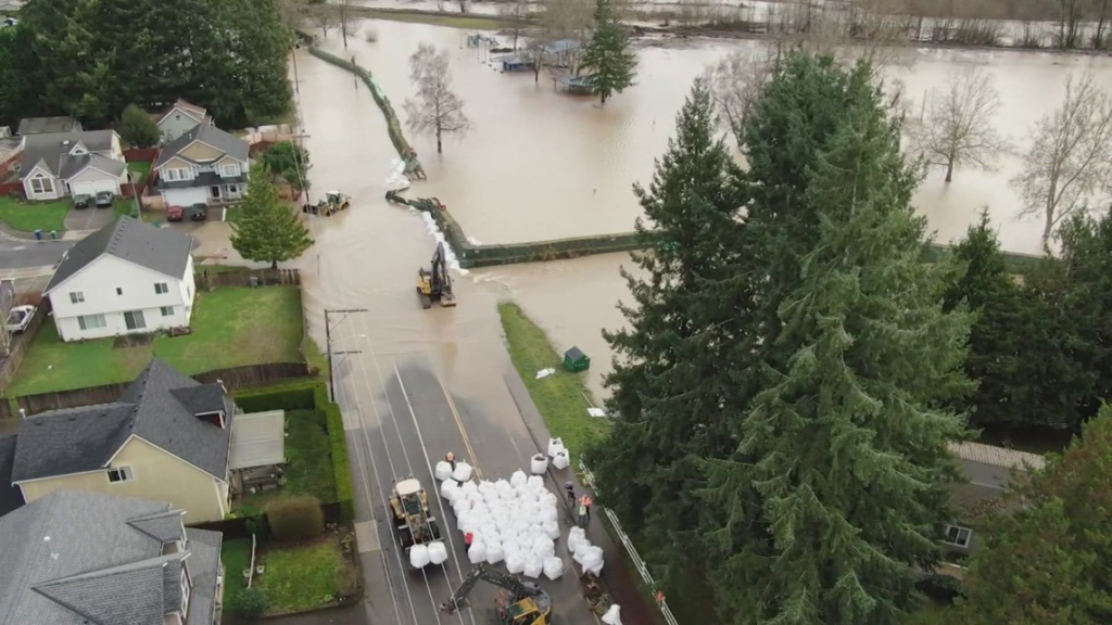 wp header logo 148.png