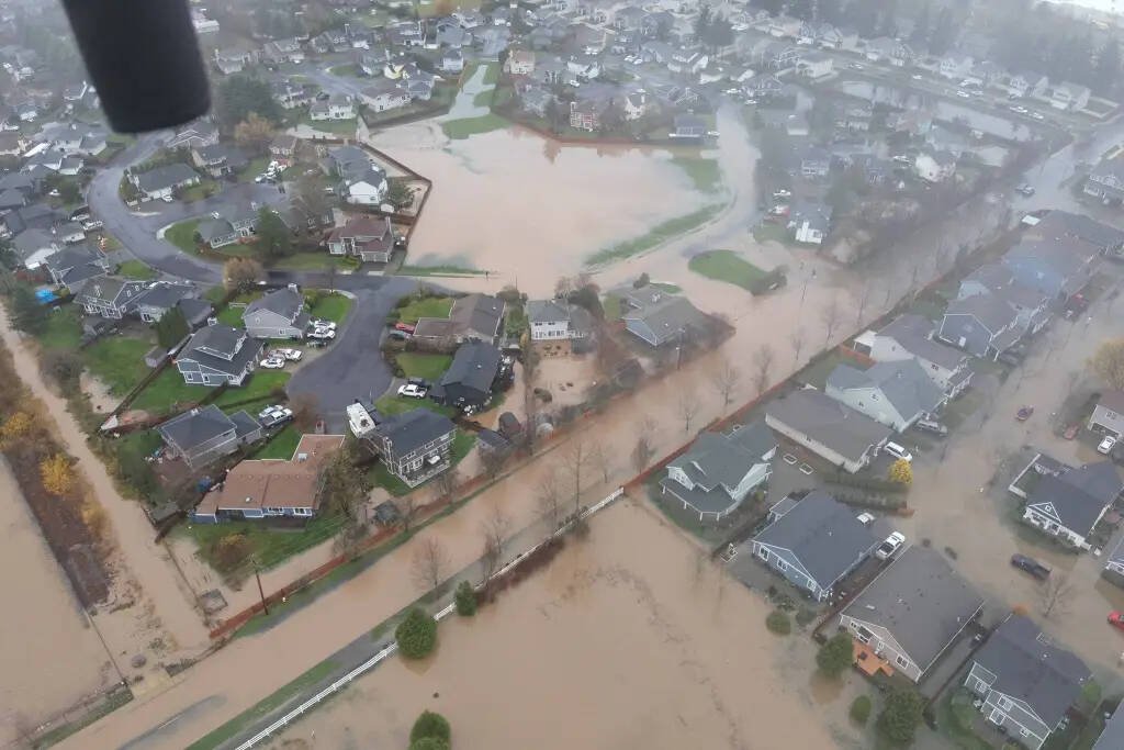 wp header logo 176.png