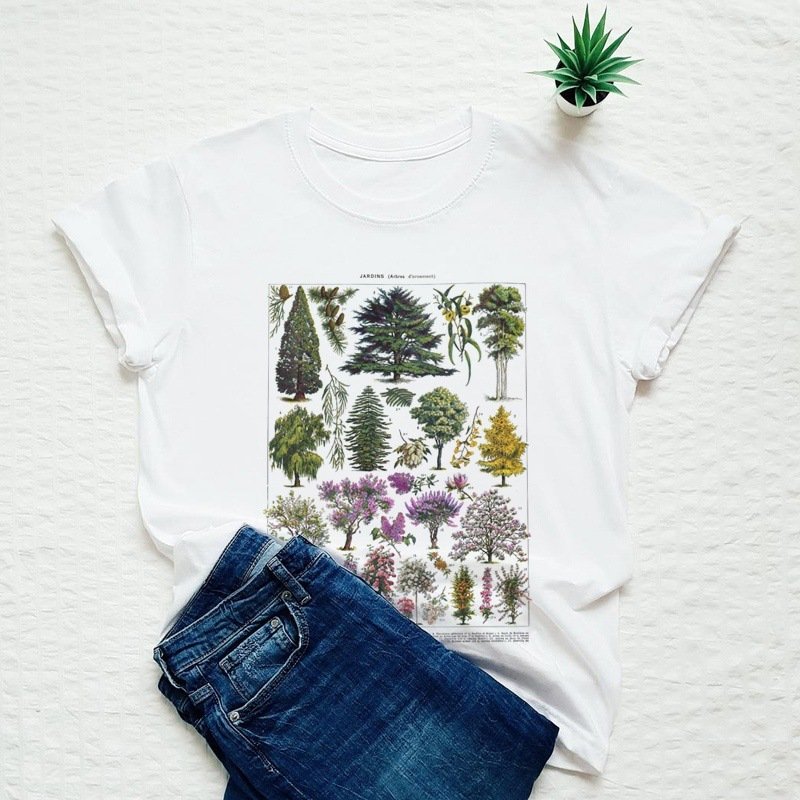 c39dec2e-b813-43ad-8ef1-6281285161c2jpg • Punkin's Patch Flat lay of a white T-shirt with a colorful botanical print placed over a pair of blue jeans on a textured white surface; a small potted succulent sits in the top-right corner.