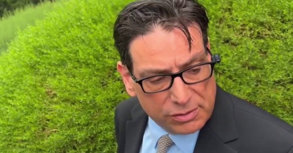 Man in a dark suit and glasses looks to the left, outdoors with bright green hedges in the background.
