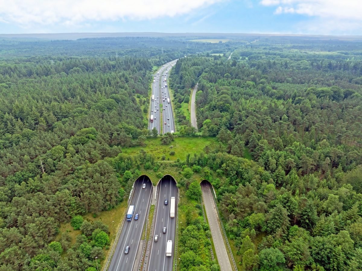 Aerial view of a busy multi-lane highway weaving through a dense green forest, with two tunnel entrances at the bottom.