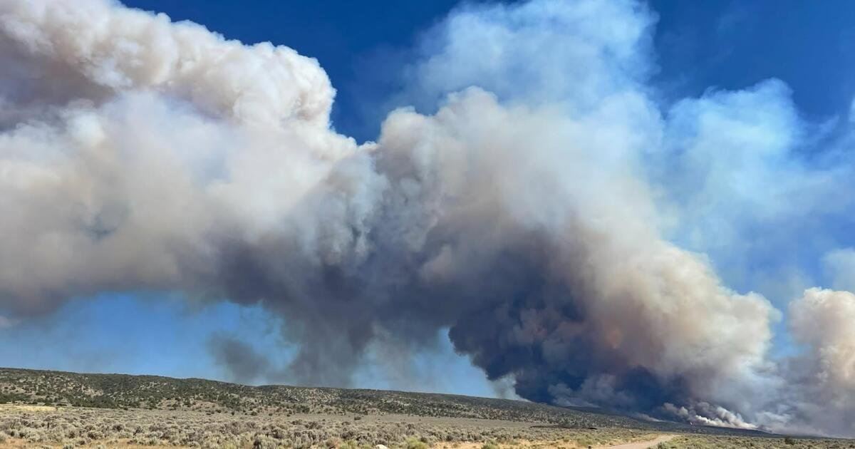 Arizona's Rep. Crane adds expedited White Sage Fire recovery in House-passed Farm Bill – KJZZ